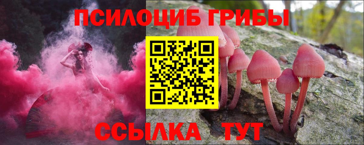 Новокубанск  Галлюциногенные грибы мухоморы  Вход с VPN 